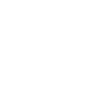 Play video icon
